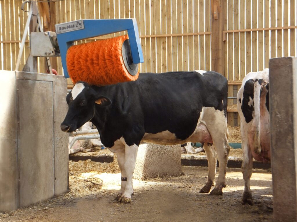 Équipements et solutions agricoles pour l’élevage, la traite et la gestion du lisier – installation, modernisation et maintenance par Technitraite Froid.