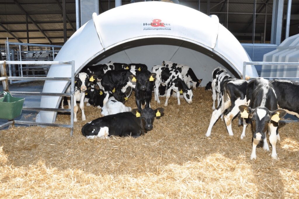 Équipements et solutions agricoles pour l’élevage, la traite et la gestion du lisier – installation, modernisation et maintenance par Technitraite Froid.