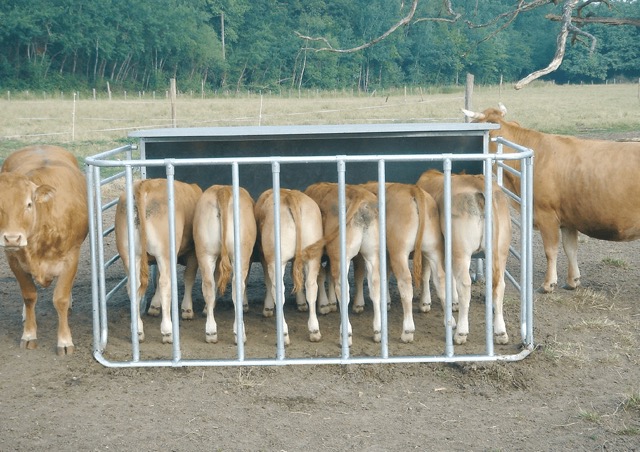 Équipements et solutions agricoles pour l’élevage, la traite et la gestion du lisier – installation, modernisation et maintenance par Technitraite Froid.